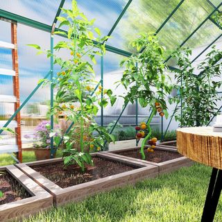 Invernadero de Jardín de Policarbonato con Puerta Corredera y Ventana Abatible, Invernadero para Plantas de Aluminio, 244X500X216 Cm, Verde