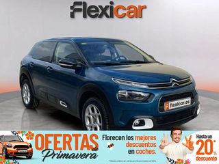 Citroën C4 Cactus BlueHDi 73KW (100CV) Business