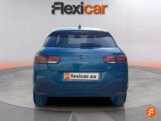 Citroën C4 Cactus BlueHDi 73KW (100CV) Business