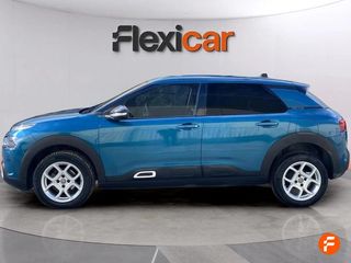 Citroën C4 Cactus BlueHDi 73KW (100CV) Business