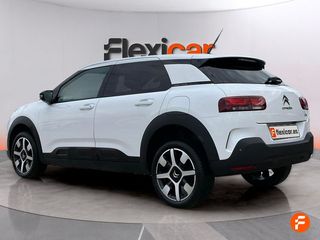 Citroën C4 Cactus BlueHDi 100 S&S Shine