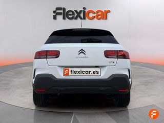 Citroën C4 Cactus BlueHDi 100 S&S Shine