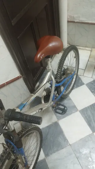 Bicicleta Deportiva Topbike