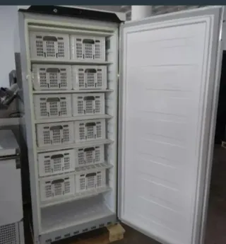 Congelatore Verticale con Cestelli: 624791928