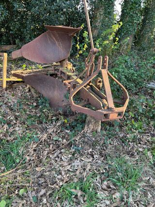 Arados Carruxo en buen estado