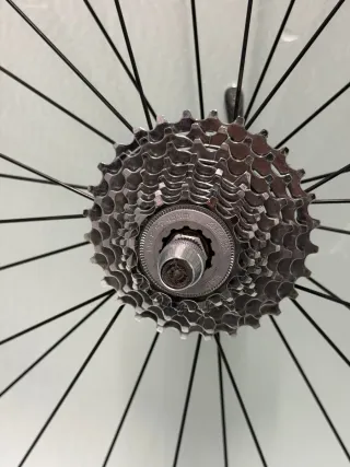 Rueda trasera Gurpil Revolution Miche Continental