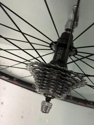 Rueda trasera Gurpil Revolution Miche Continental