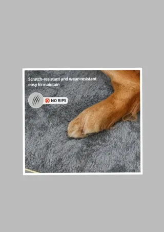 Cama Ortopédica Perro XL Gris Nueva