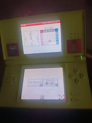 Nintendo DS Lite Gris/Verde
