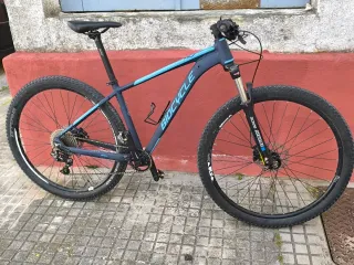 Bicicleta de montaña