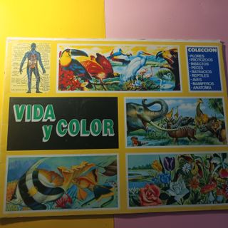 Gran lote albumes para sacar cromos. Lote A - 97A