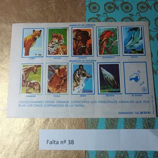 Gran lote albumes para sacar cromos. Lote A - 97A