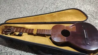 Cuatro Venezolano con funda