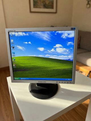 Monitor Samsung 17 pollici