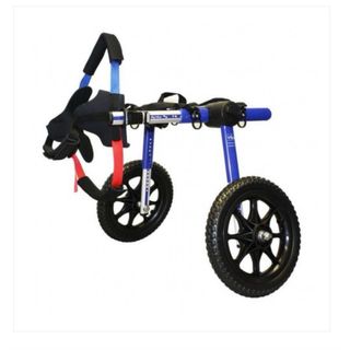 Sedia a rotelle per cani regolabile