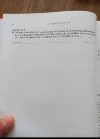 Los Parásitos de la Vid: Estrategias de Protección