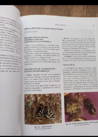 Los Parásitos de la Vid: Estrategias de Protección