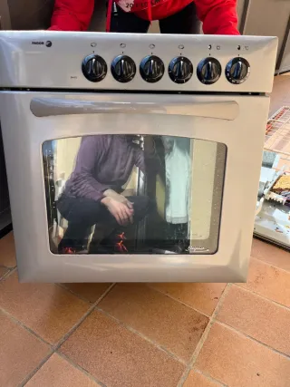 Conjunto Nevera Zanussi Vitroceramica y Horno