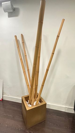 Maceta dorada con bambú y piedras