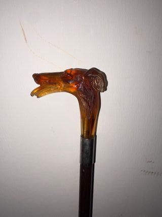 Bastone antico con testa di cane