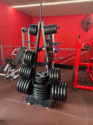 Soportes para mancuernas y discos