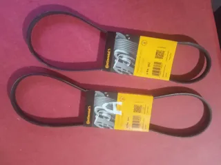 Correas Continental 4 PK 962 y 4 PK 841