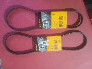 Correas Continental 4 PK 962 y 4 PK 841