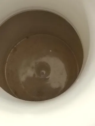 Jarrón antiguo Capeans porcelana flores rosas