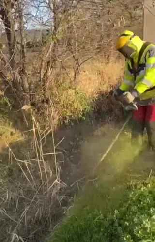 Limpieza de parcelas