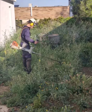 Limpieza de parcelas