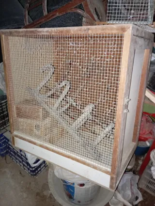 Cajón Transportín Perros Marrón/Blanco