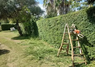 Limpieza de parcelas