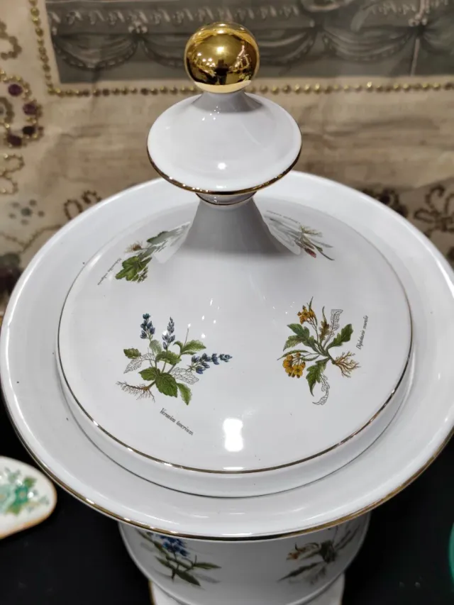 Tarro Farmacia II VERROCCHIO Florencia