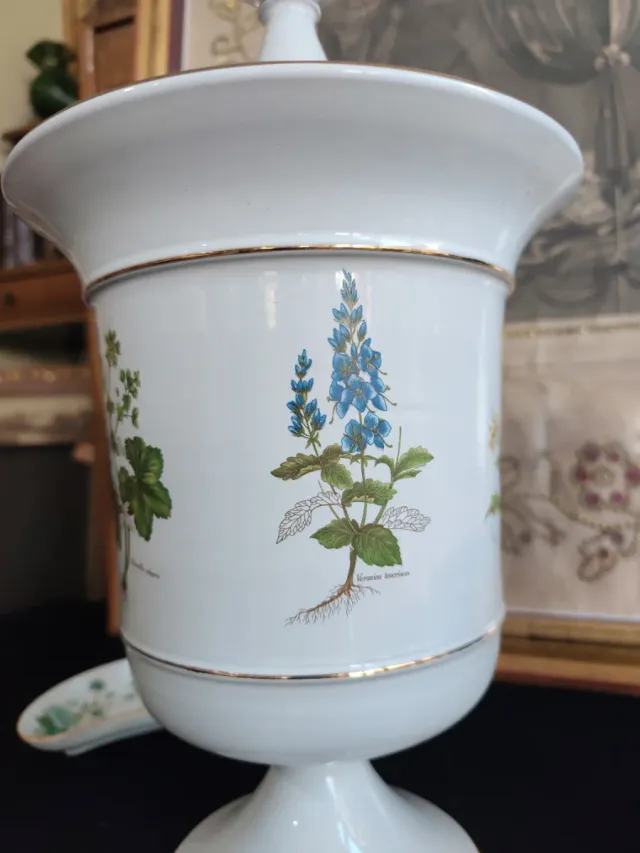 Tarro Farmacia II VERROCCHIO Florencia