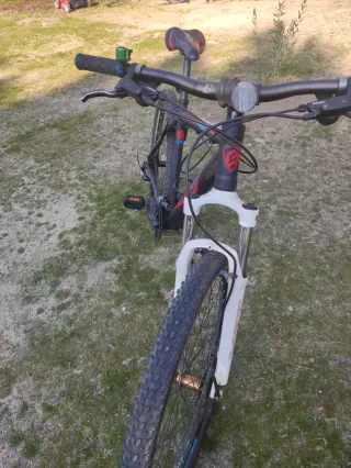 Bicicleta de Montaña Berg Trail Rock