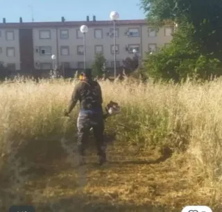 Jardinero profesional