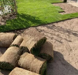 Jardinero profesional