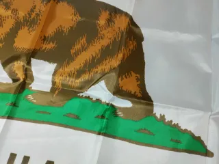 Bandiera Fallout New Vegas