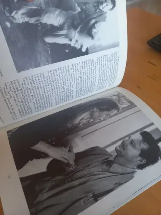 Mickey Rourke An Illustrated Biography