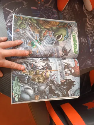 Batman/Tortugas Ninja vol. 1 de 3 (DC Pocket)