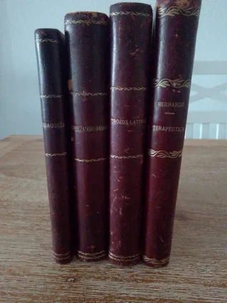 Lote 4 libros antiguos didácticos