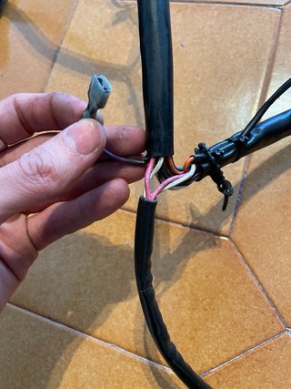 Cableado Harley Davidson Completo