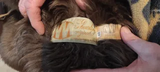 Giubbotto in montone marrone