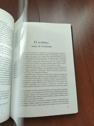 El alma de los árboles