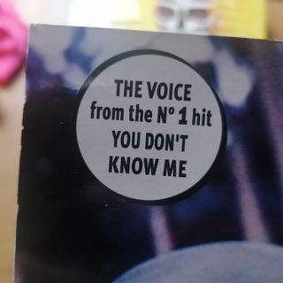 Vinile Powerhouse feat. Duane Harden - What You Ne