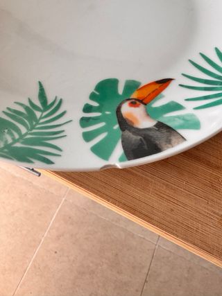 Vajilla Excelsa Tropical