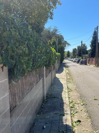 Trabajos de jardineria