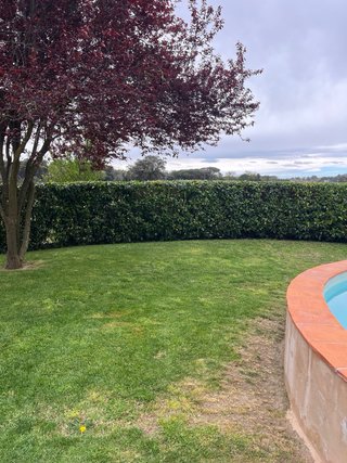 Trabajos de jardineria