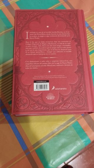 Harry Potter y la piedra filosofal (Ed. Minalim...