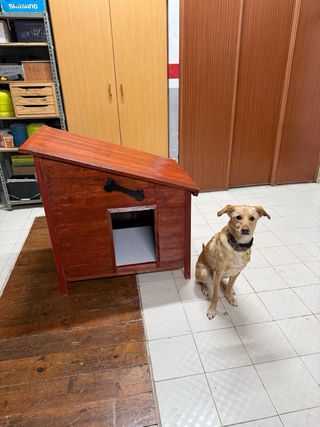 Casita para perro mediano hecha a mano